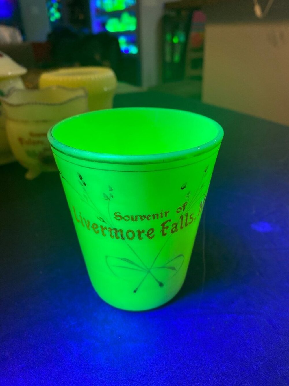 Souvenir UV Tumbler Livermore Falls, ME